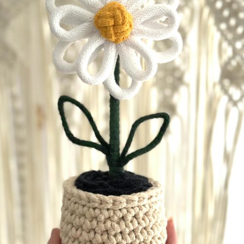 Kwiatek-w-doniczce-rekodzielo-sztuczny-recznie-robiony-na-szydelku (1) Kwiatek w doniczce rękodzieło na prezent kwiatek sztuczny ręcznie robiony na prezent, prezent dla nauczyciela prezent dla kobiety prezent dla mamy