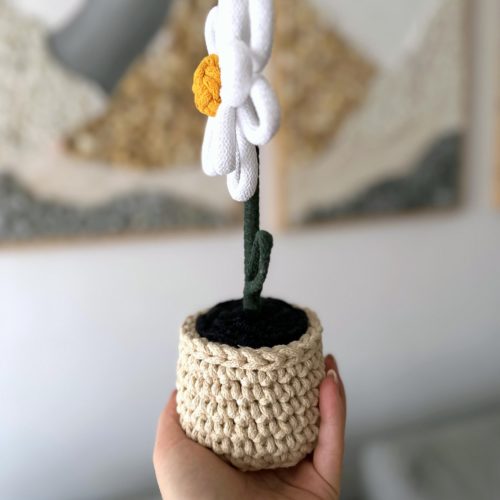 Kwiatek-w-doniczce-rekodzielo-sztuczny-recznie-robiony-na-szydelku (3) Kwiatek w doniczce rękodzieło na prezent kwiatek sztuczny ręcznie robiony na prezent, prezent dla nauczyciela prezent dla kobiety prezent dla mamy