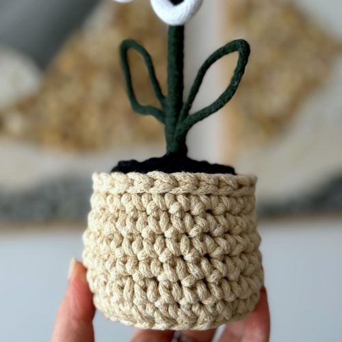 Kwiatek-w-doniczce-rekodzielo-sztuczny-recznie-robiony-na-szydelku (6) Kwiatek w doniczce rękodzieło na prezent kwiatek sztuczny ręcznie robiony na prezent, prezent dla nauczyciela prezent dla kobiety prezent dla mamy